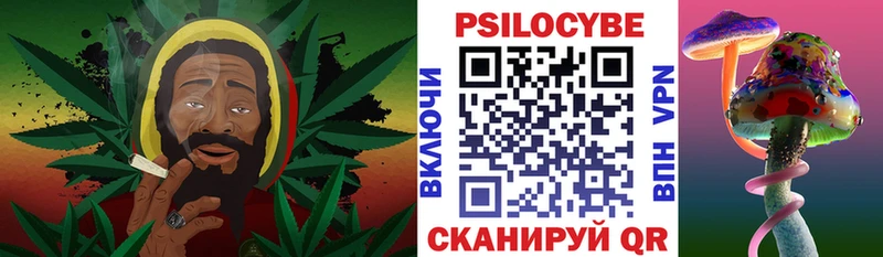 Купить  Дмитровск  Галлюциногенные грибы Psilocybine cubensis 